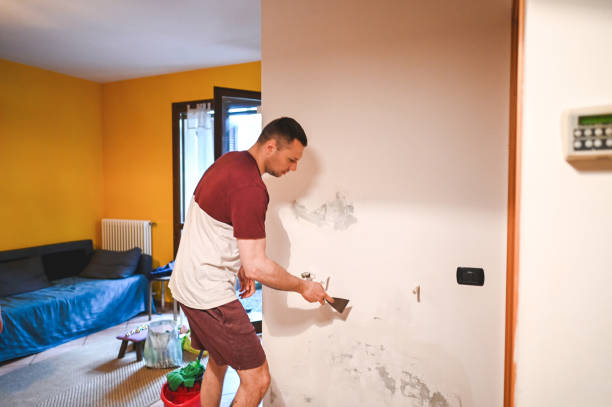 Best Office Mold Removal Services  in Allendale, MI