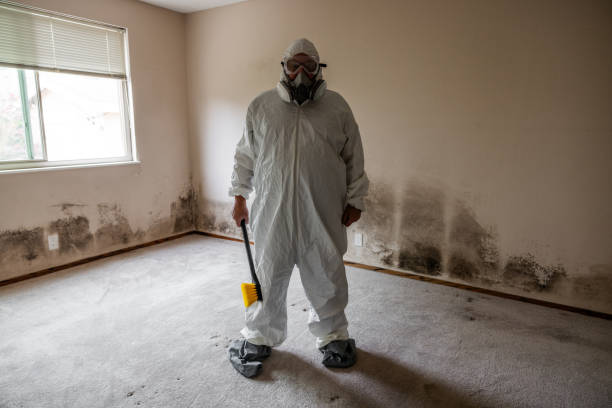 Best Mold Cleaning Services  in Allendale, MI